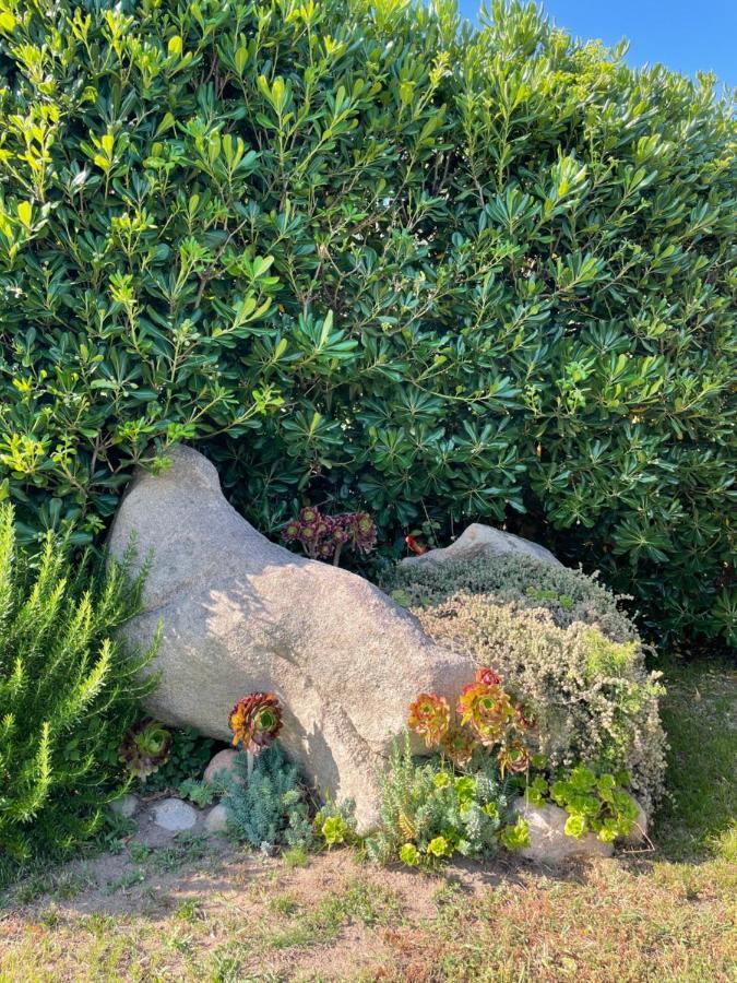 Villa Annalia Cannigione Dış mekan fotoğraf